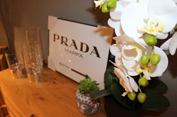 Orchidee weiß, Prada Marfa Bild und LED Lichter
